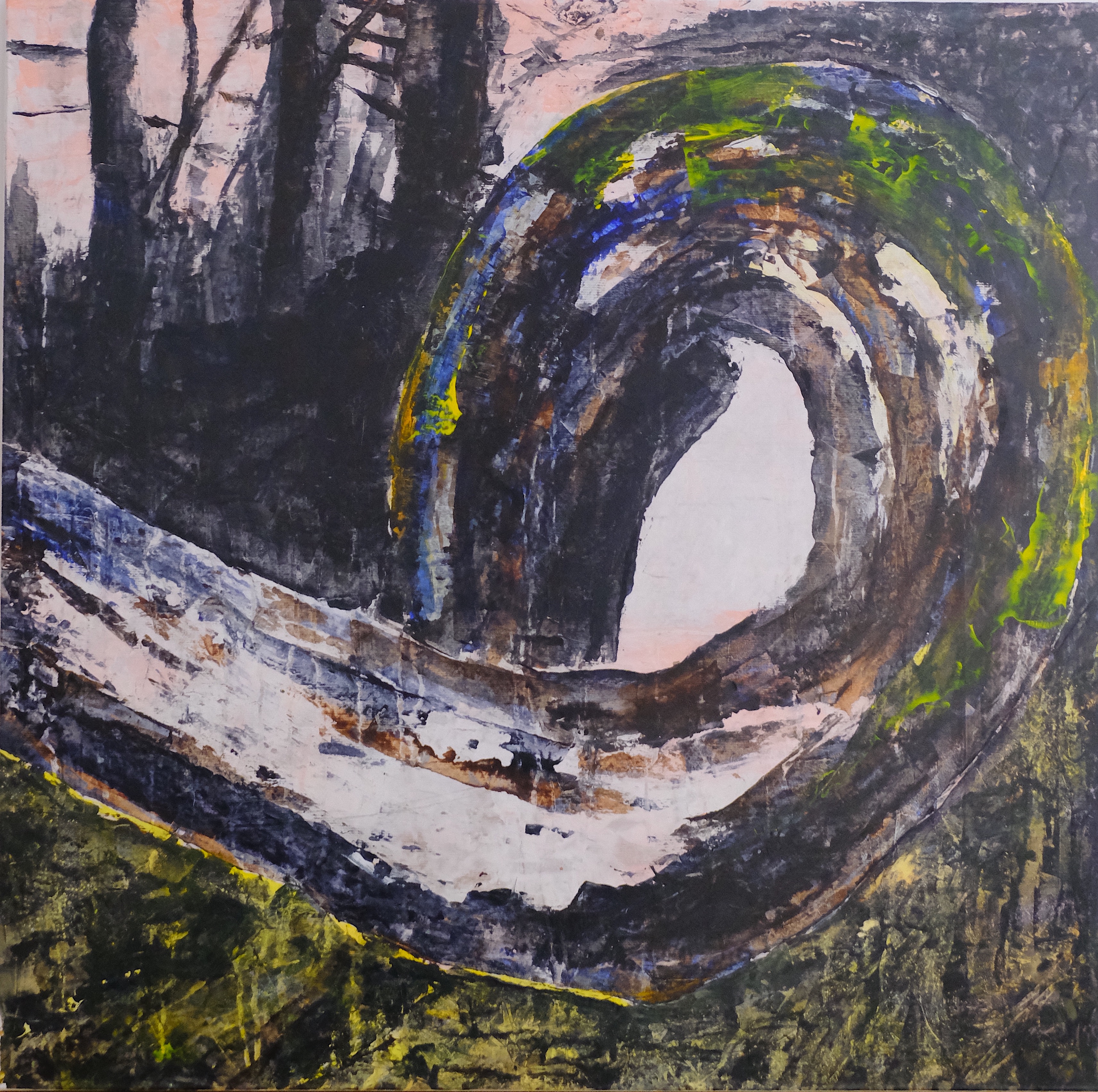 image of team member explaining a conservation project